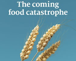 La hambruna según The Economist.